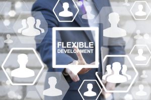 flexible Development